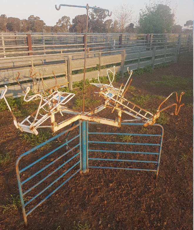 Lyco Lamb Cradles Livestock Equipment Livestock Handling